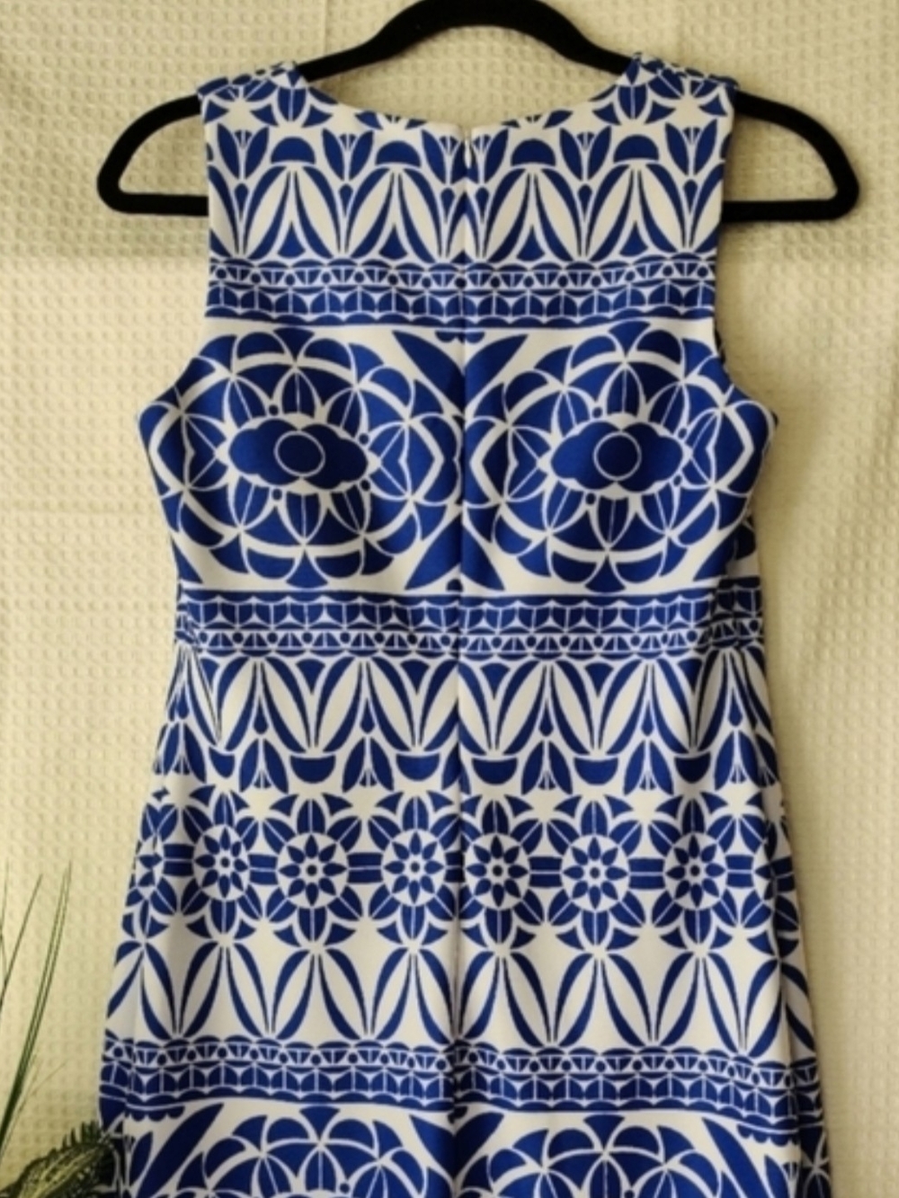 Just...Taylor, Sleeveless Cobalt Blue/White Print Dress, Size: 4